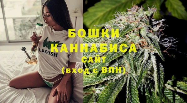 дживик Богородицк