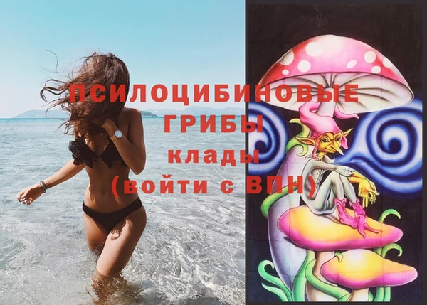 дурь Нягань